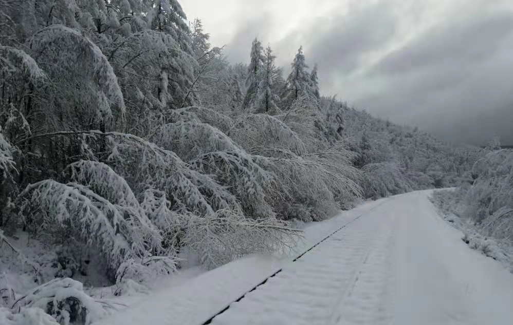 全面应对暴雪！哈铁除雪巡检清冰确保安全出行